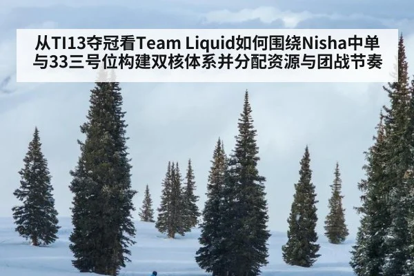 从TI13夺冠看Team Liquid如何围绕Nisha中单与33三号位构建双核体系并分配资源与团战节奏